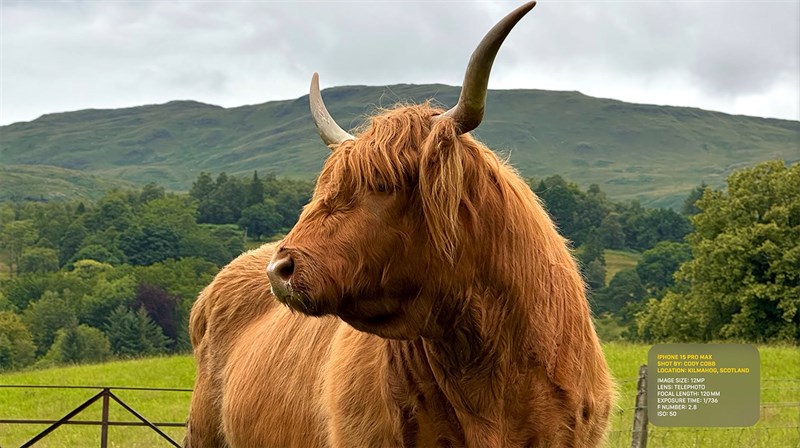 iPhone 15 Pro Max còn có khả năng chụp chân dung ấn tượng hơn