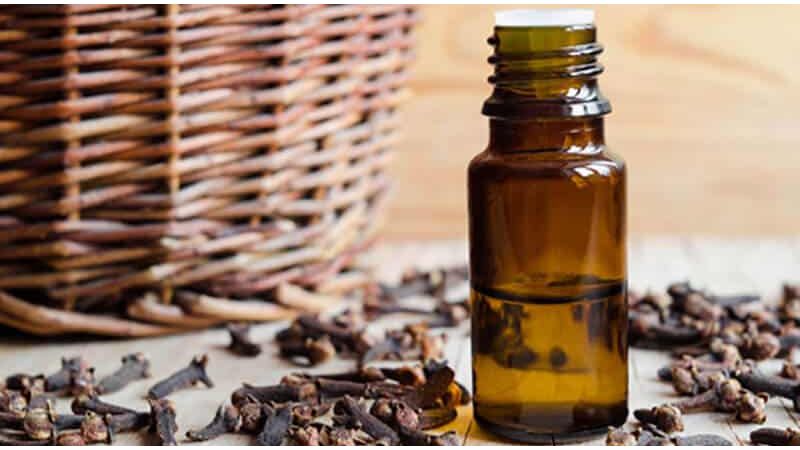 What is Clove Oil? Benefits and usage