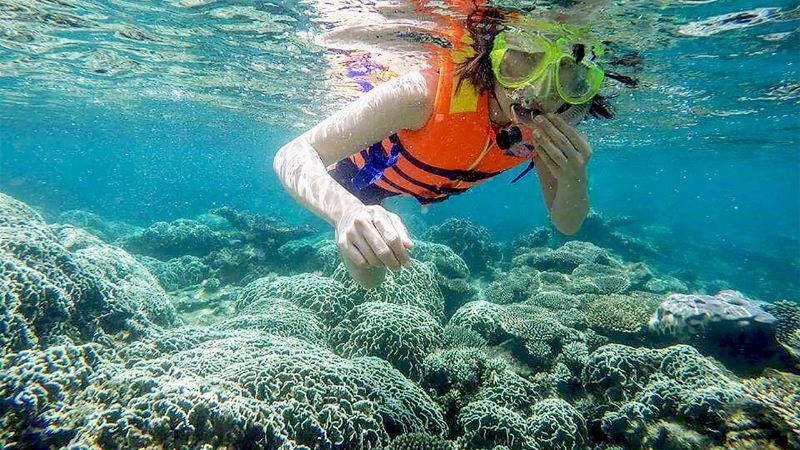 Hoạt động lặn ngắm san hô tại Hòn Dăm Trong