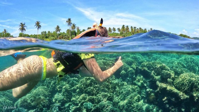 Hoạt động lặn ngắm san hô tại Hòn Móng Tay
