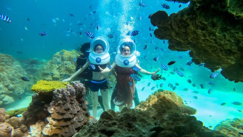 Hoạt động lặn ngắm san hô tại Công viên Bảo tồn San hô Namaste Phú Quốc