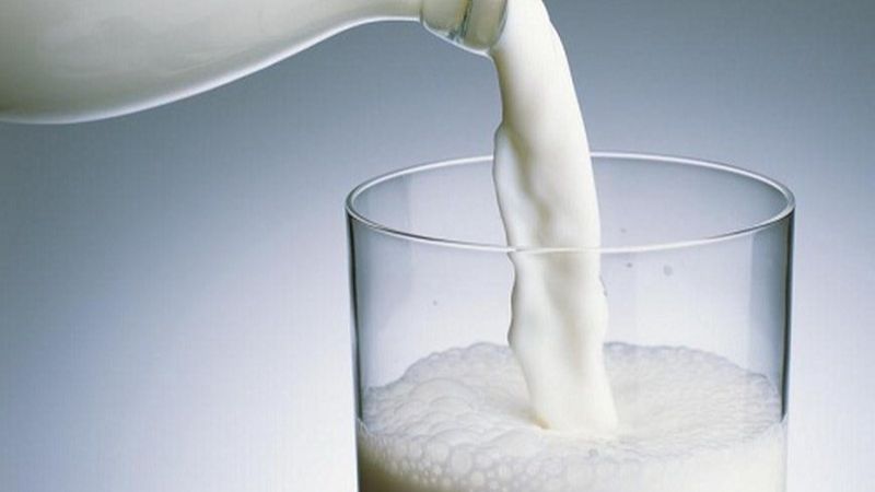 Sữa không đường