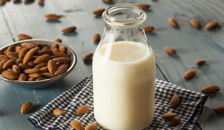 How to make almond milk with a slow juicer quickly and simply