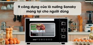 9 Anwendungen des Sanaky-Ofens für Benutzer