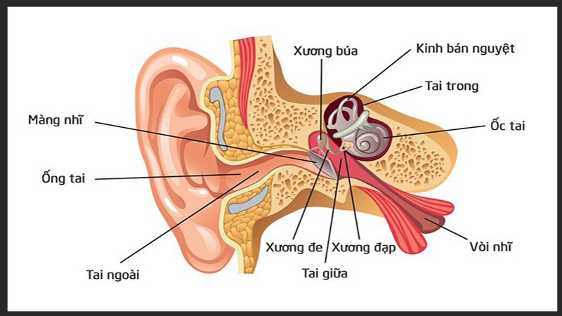 3 nguyên nhân viêm tai giữa có thể bạn chưa biết