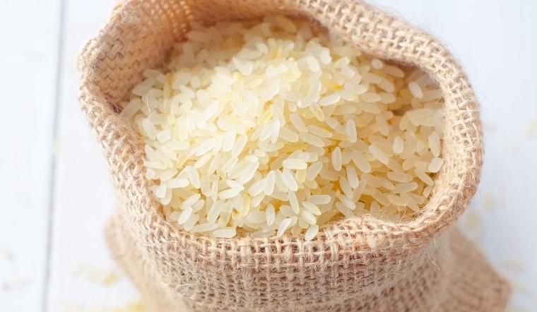 Giá lúa gạo hôm nay 18/7/2022: Lúa Nhật giảm 300 đồng/kg