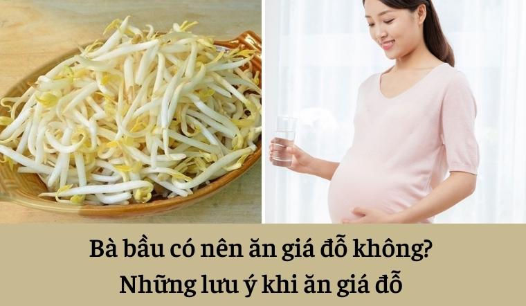 Bà bầu có nên ăn giá đỗ không? Những lưu ý khi ăn giá đỗ