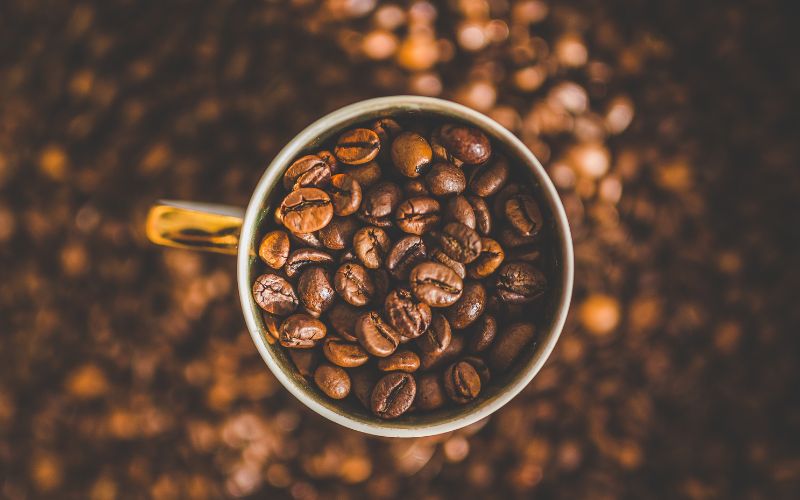 Giá cà phê trong nước hôm nay