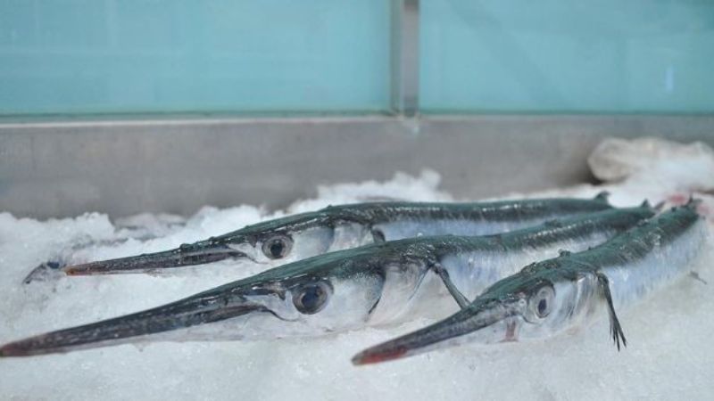 Loài cá xương xanh độc lạ của Kiên Giang được nhiều người mê mẩn