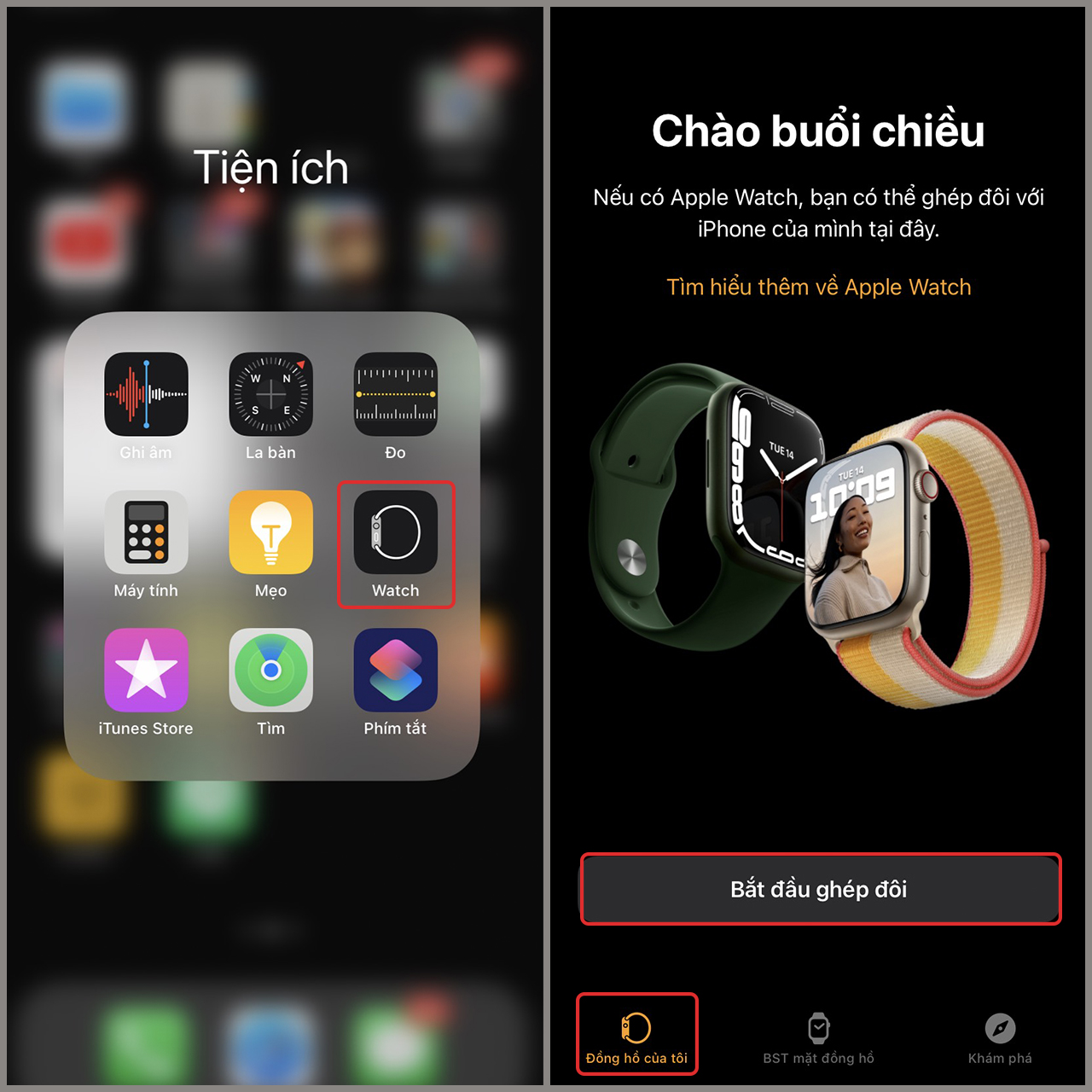 cách theo dõi sức khỏe trên Apple Watch