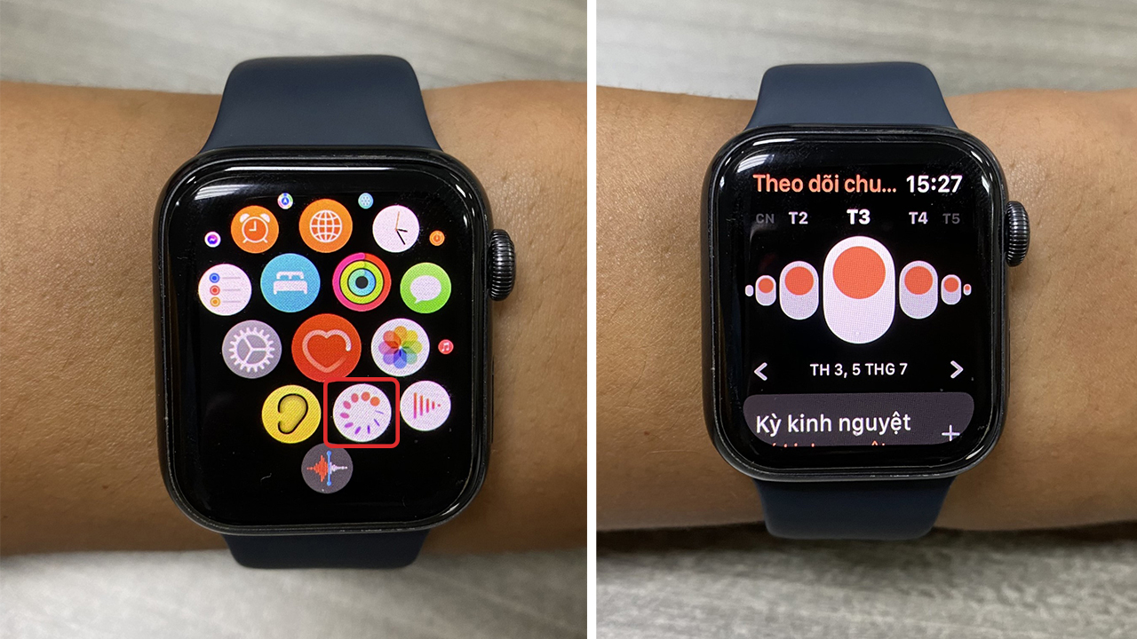 Cách theo dõi sức khỏe trên Apple Watch