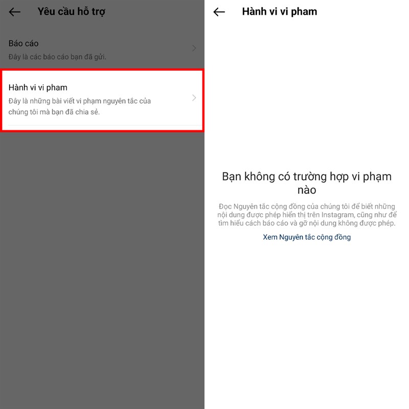 Cách kiểm tra bài đăng vi phạm tiêu chuẩn cộng đồng Instagram