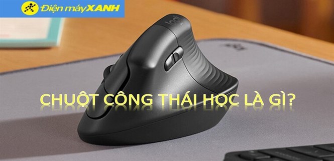 Chuột công thái học là gì? Lý do nên mua ngay chuột công thái học để sử dụng
