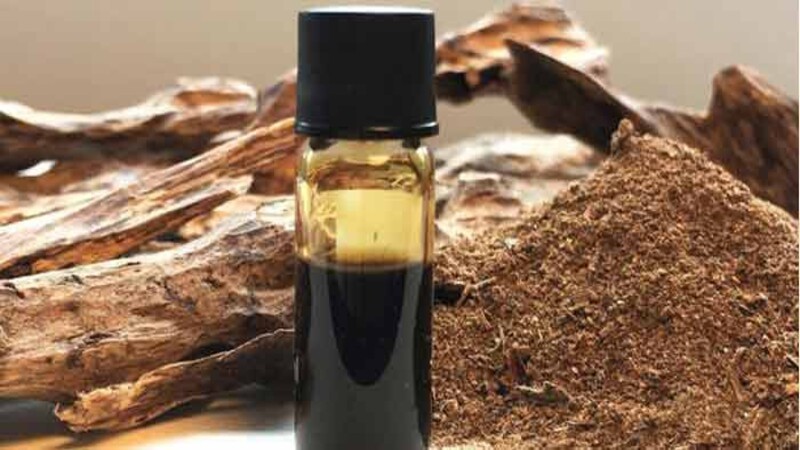 Giới thiệu 10 loại nước hoa có hương gỗ Woody nồng ấm nổi tiếng
