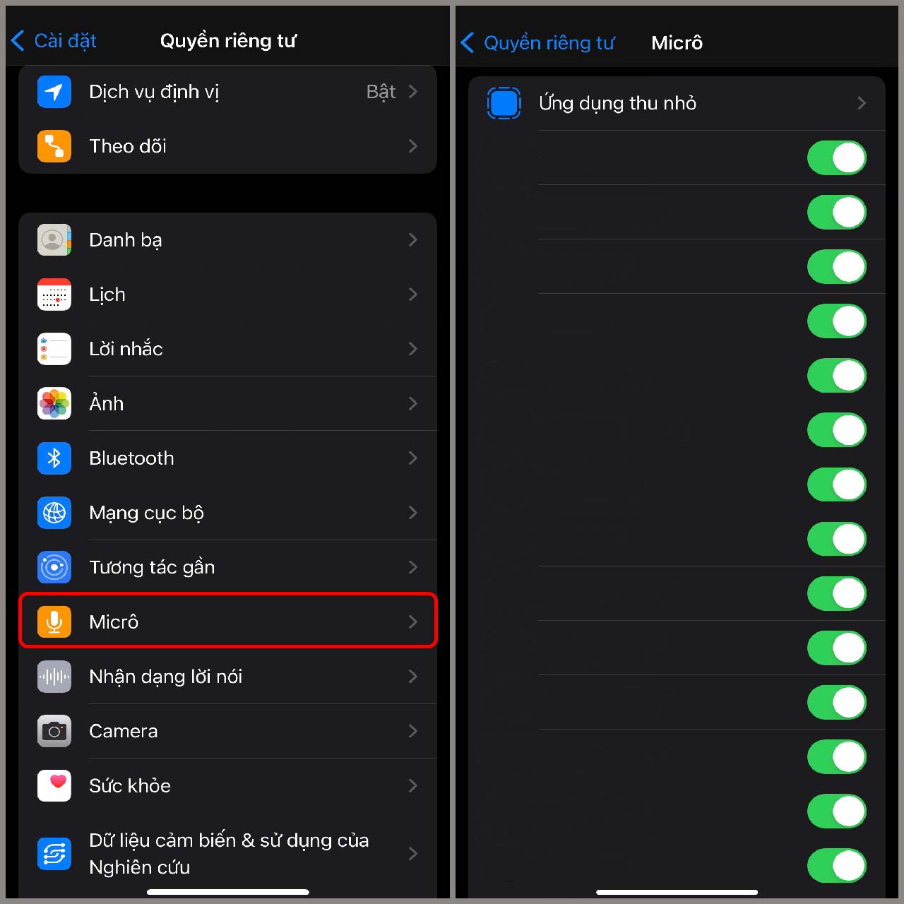 Lỗi Micro trên iPhone