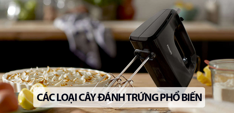 Các loại cây đánh trứng phổ biến hiện nay mà bạn nên biết