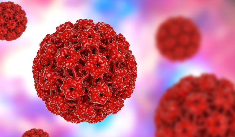 Virus HPV là gì? Nguyên nhân, dấu hiệu và các phòng tránh nhiễm HPV