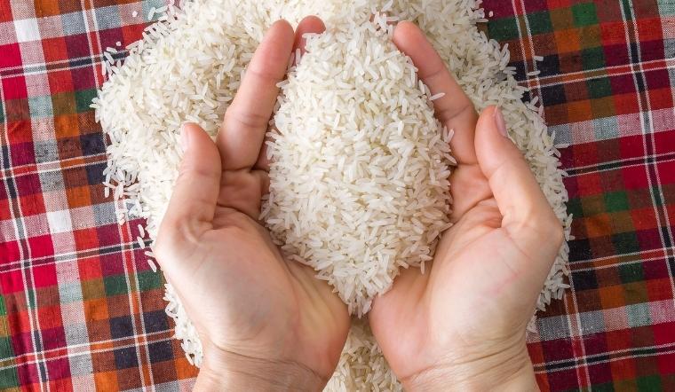 Giá lúa gạo hôm nay 26/7/2022: Duy trì ở mức ổn định không thay đổi