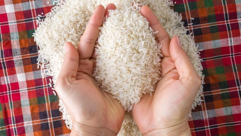 Giá gạo hôm nay 26/7 Giá gạo hôm nay 26/7
