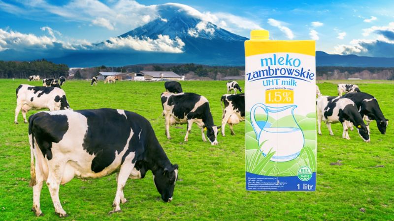 Sữa tiệt trùng Mleko Zambrowskie 1.5% béo hộp 1 lít