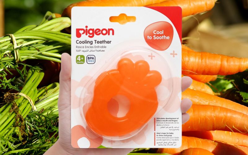 Ngậm nướu Pigeon Carrot