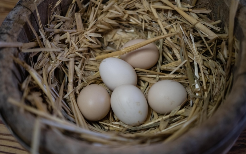 Giá trứng gà hôm nay 29/07