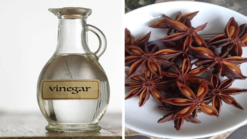 White vinegar and star anise