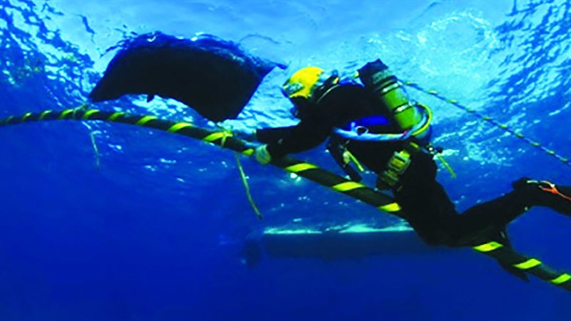 Hình ảnh cáp quang biển