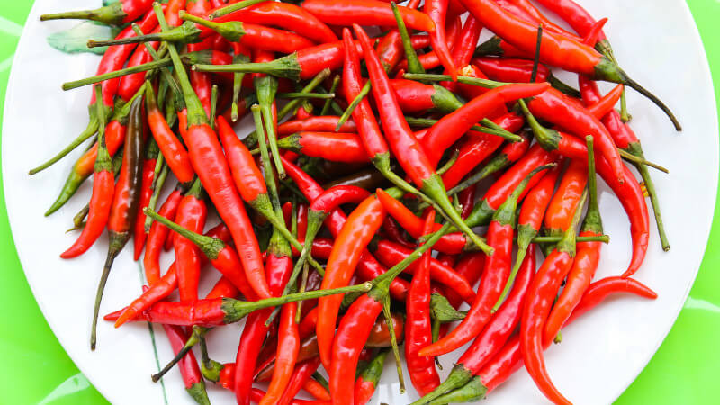 Giá ớt dao động từ 30.000 - 45.000 đồng/kg