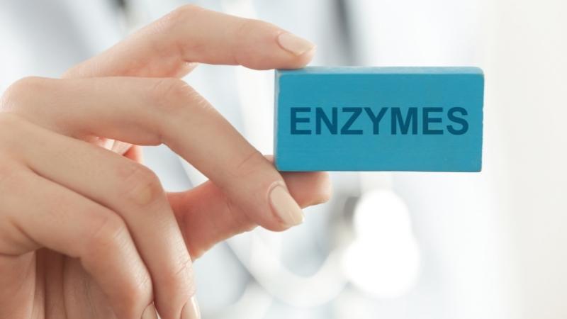 Không thể tổng hợp enzym gây rối loạn quá trình chuyển hóa