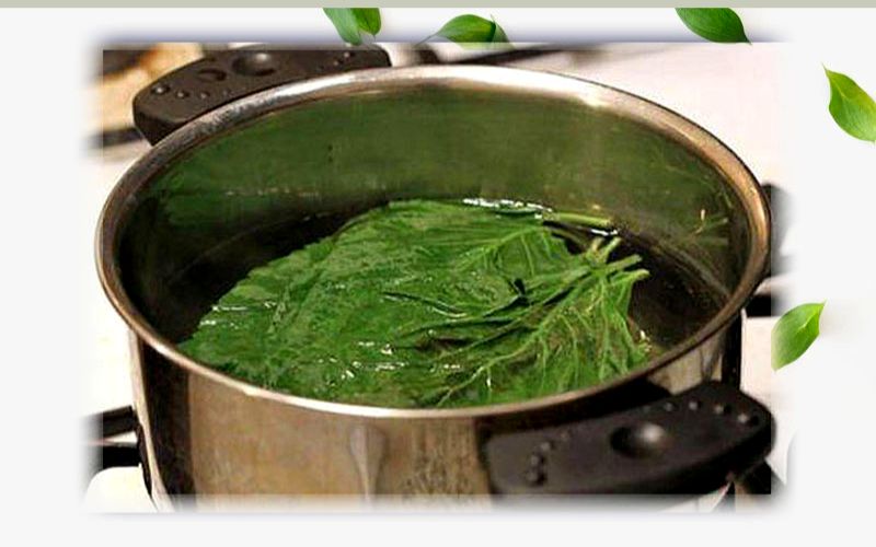 Using betel leaf water does not clean armpits