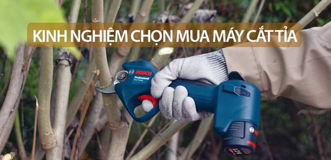 Kinh nghiệm chọn mua máy cắt tỉa phù hợp cho nhu cầu sử dụng