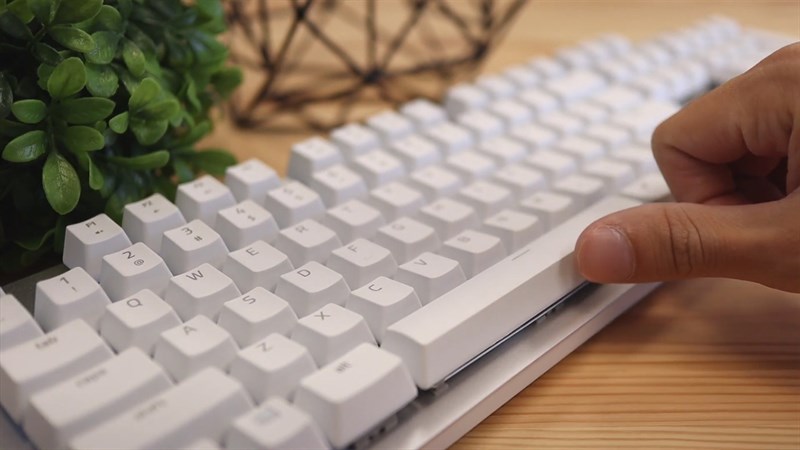 Thời lượng sử dụng Razer Pro Type có thể đạt tới 214 giờ đồng hồ