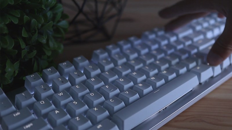 Razer Pro Type còn có đèn nền giúp làm việc hiệu quả trong không gian tối