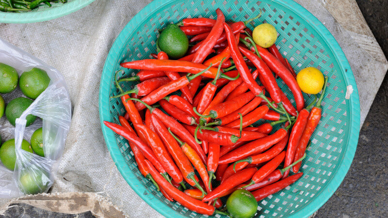 Giá ớt dao động từ 30.000 - 45.000 đồng/kg