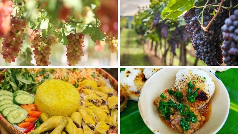 Các vườn nho và món ăn đặc trưng tại Ninh Thuận