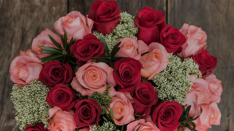 Bó hoa hồng Ecuador lạ mắt hài hòa