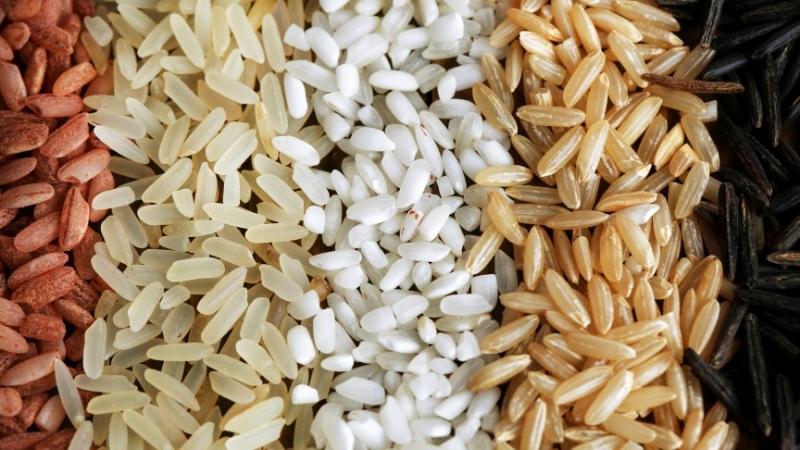 Giá gạo hôm nay 03/8 Giá gạo hôm nay 03/8