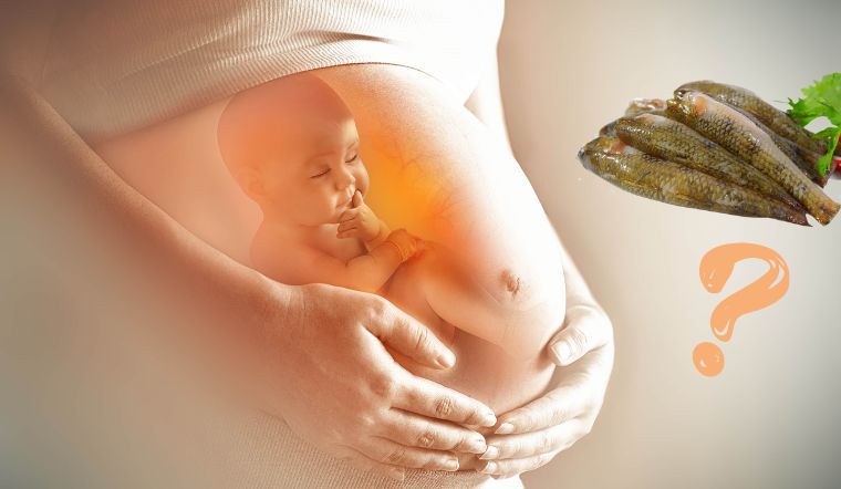 Bà bầu có nên ăn cá bống không? Những lưu ý khi ăn cá bống 