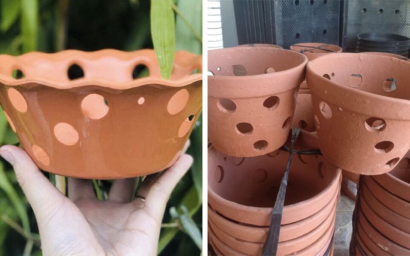 Check the growth rate of the plant and repot it