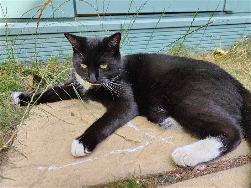 Ảnh chụp từ OnePlus 10T trong điều kiện đủ sáng. Nguồn: Tech Spurt. Ảnh chụp từ OnePlus 10T trong điều kiện đủ sáng. Nguồn: Tech Spurt.