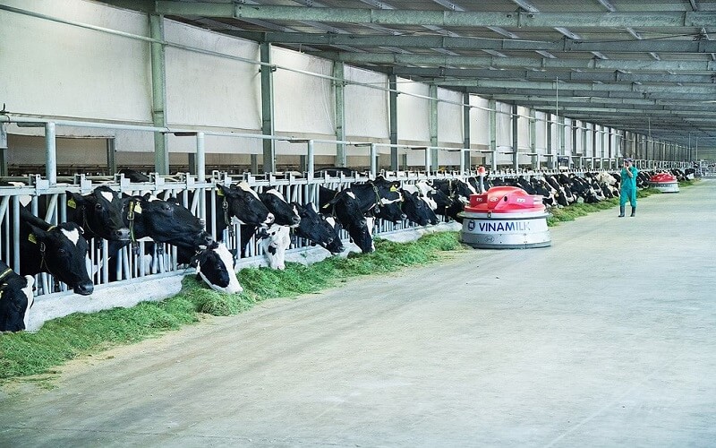 Sản phẩm có thành phần 100% sữa bò tươi nguyên chất