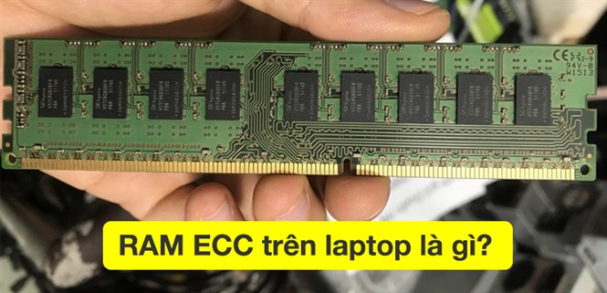 RAM ECC trên laptop là gì? So sánh khác biệt giữa RAM ECC và RAM thường