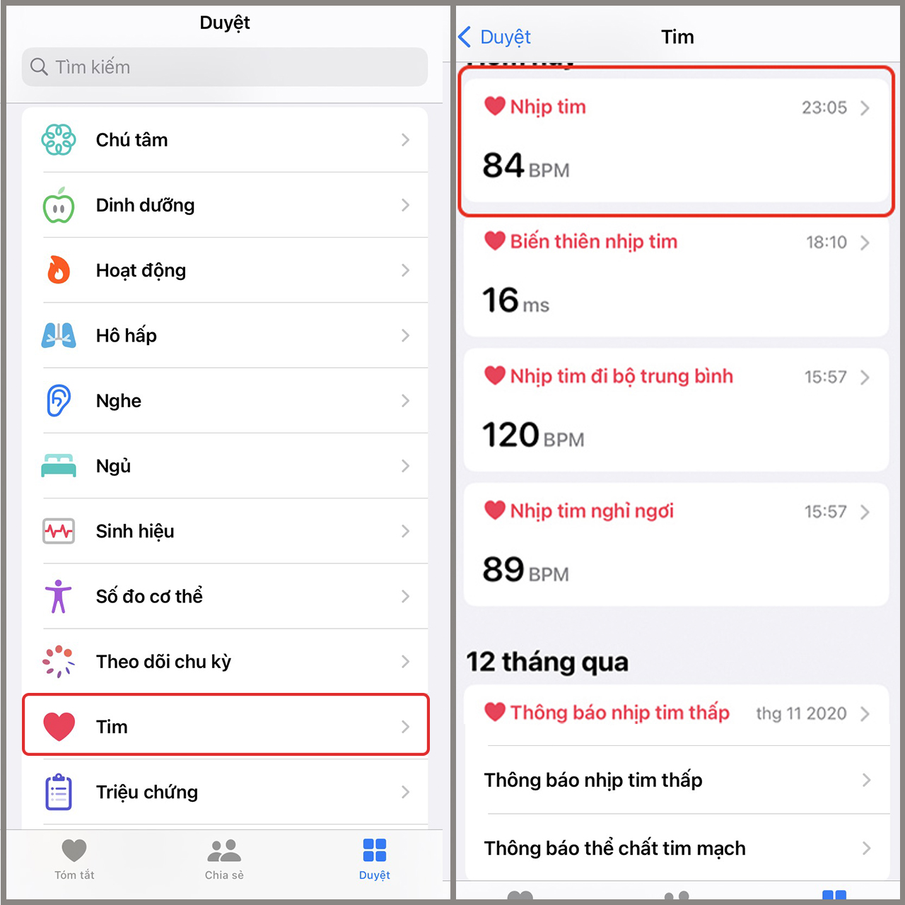 Cách đo nhịp tim trên Apple Watch Cách đo nhịp tim trên Apple Watch