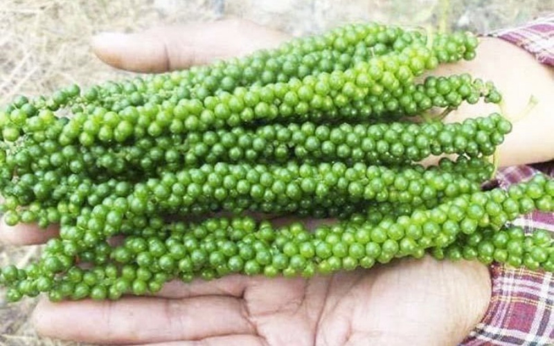 Giá tiêu thế giới