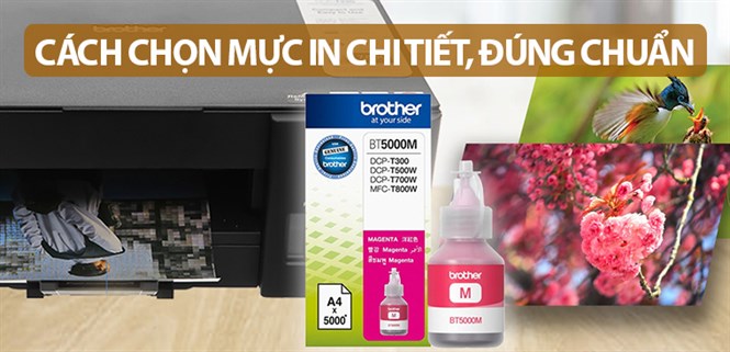 Tư vấn cách chọn mực in chi tiết, đúng chuẩn phù hợp từng nhu cầu