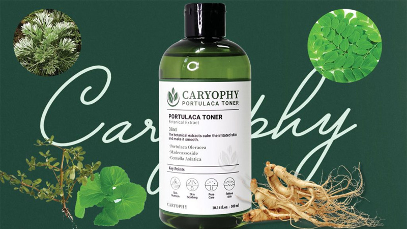 Thành phần của nước hoa hồng Caryophy Portulaca Toner