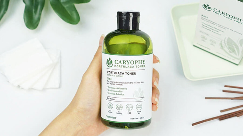 Kết cấu của nước hoa hồng Caryophy Portulaca Toner