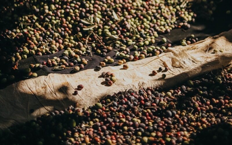 Giá tiêu thế giới