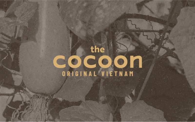 Giới thiệu thương hiệu Cocoon